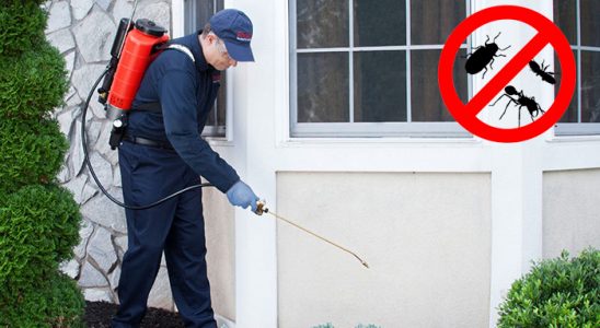 Doğubayazıt Hamam Böceği İlaçlama böcek ilaçlama ve haşere kontrolü — ilaclama-tr.com